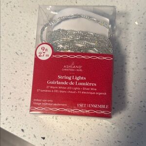 Ashland Silver Wire String Lights with Warm White LEDs